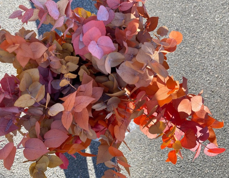 Höstlöv i orange, rött och rosa