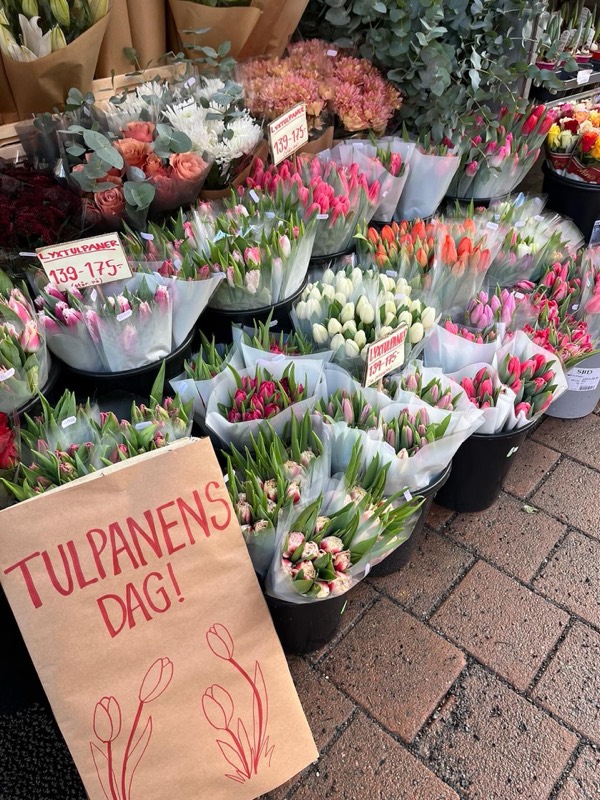 Hinkar med tulpaner på trottoaren och en skylt med texten Tulpanens dag
